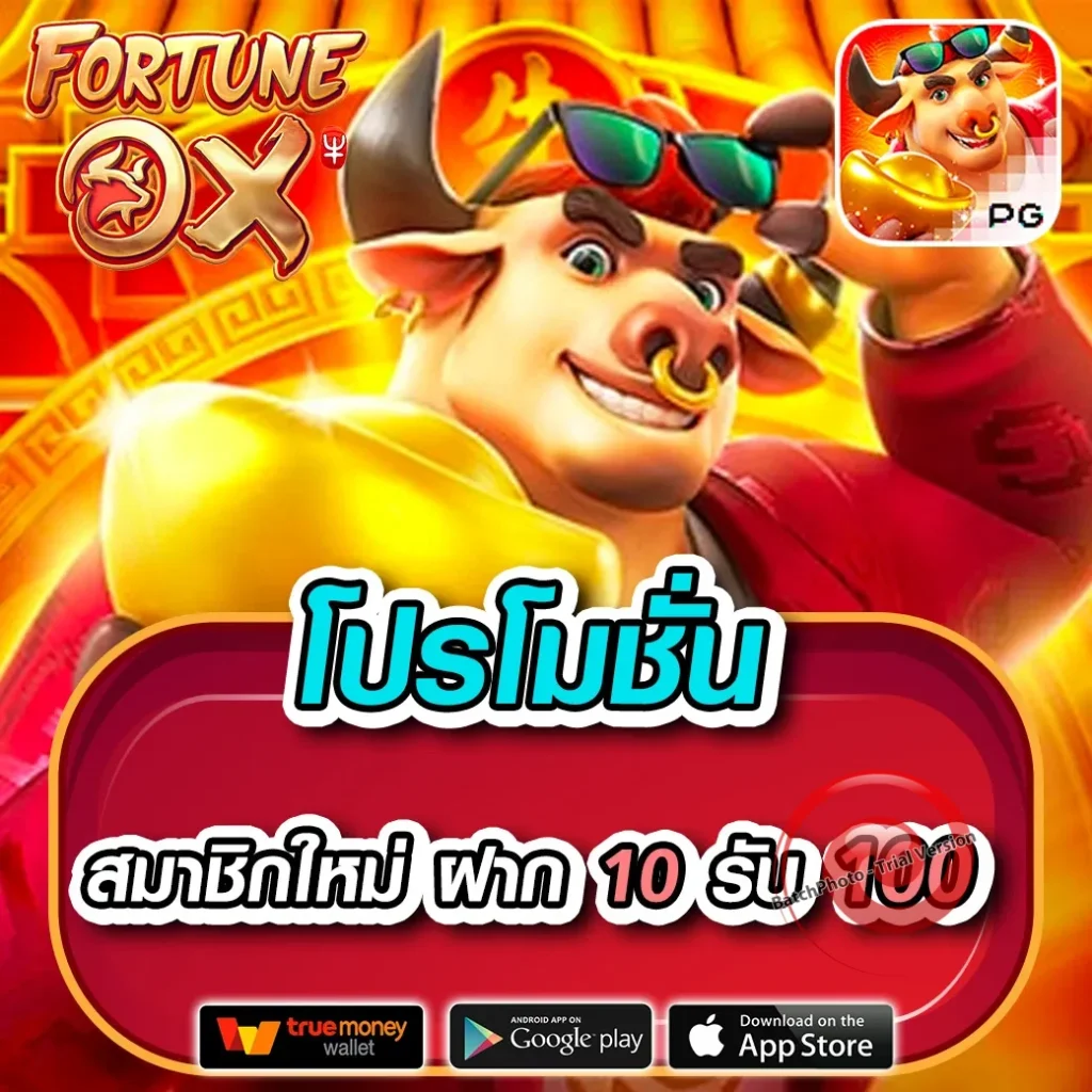 เว็บ pakyok-pk